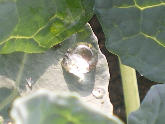 CA0YW873.jpg